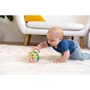 image:imageManhattan Toy Whistleball Colorpop
