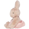 image:imageManhattan Toy Little Friends 85 Bunny Childrens Picture Book Stuffed Animal Companion
