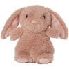 image:imageManhattan Toy Bitty Buddies Nod Dusty Pink Baby Bunny Stuffed Animal 6